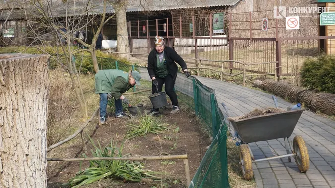 Бентежні носики та ніжні квіти: весна у Луцькому зоопарку (фото)