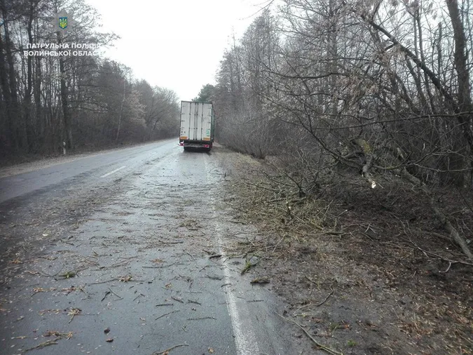 На трасі з Луцька до Рівного лежить багато повалених дерев (фото)