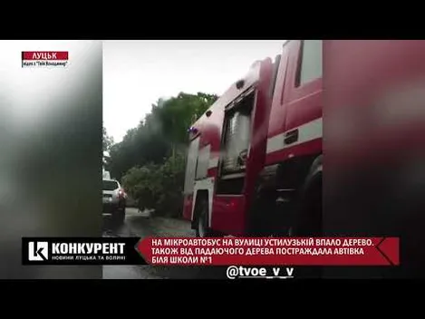 Зірвана покрівля та повалені дерева: у Володимирі бушує негода (фото, відео)