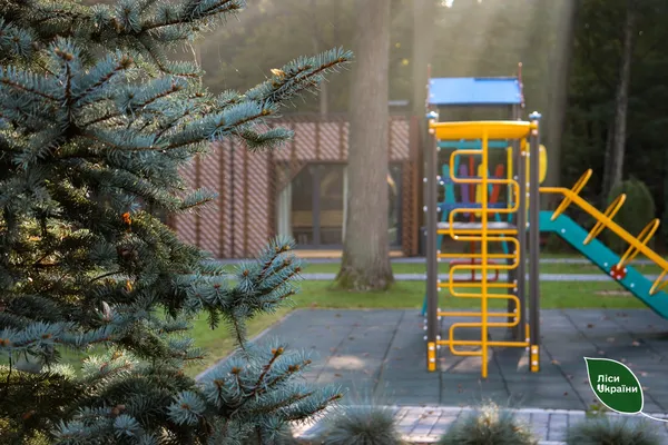 На околиці Луцька відкрили нову зону відпочинку серед лісу (фото)