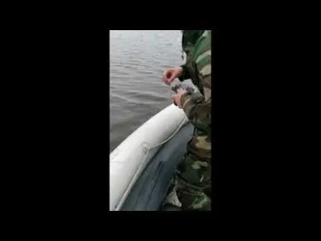 Заплутався у риболовних сітках: на Волині врятували птаха (відео)