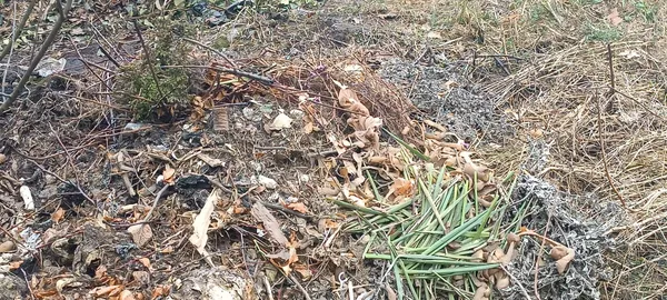 Жителі б’ють на сполох: у Маневичах ліс закидають сміттям (фото)