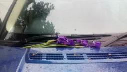 «Як на могилку»: у Луцьку авто паркохама «прикрасили» квітами (фото)