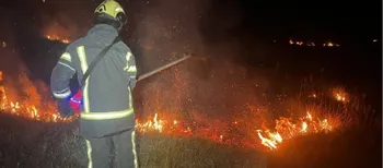 Вогонь охопив 6 гектарів: на Волині за дві доби сталися 8 пожеж (фото)