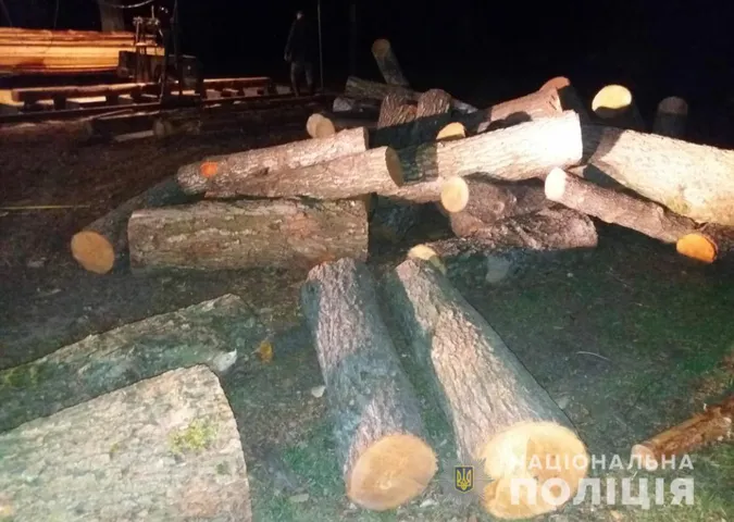 У домогосподарствах волинян знайшли понад 100 незаконно зрізаних колод (фото)