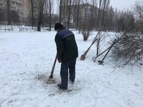 Луцький майданчик для вигулу псів тепер зі світлом (фото)