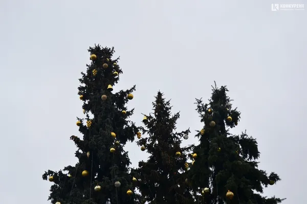 Головні ялинки Луцька прикрашають кулями (фото)