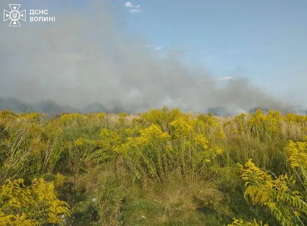 Горіли суха трава і торф: на Волині упродовж 13 годин гасили пожежу (фото)