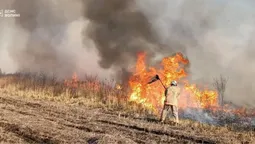 Волинь палає: за добу сталося 15 пожеж (фото)