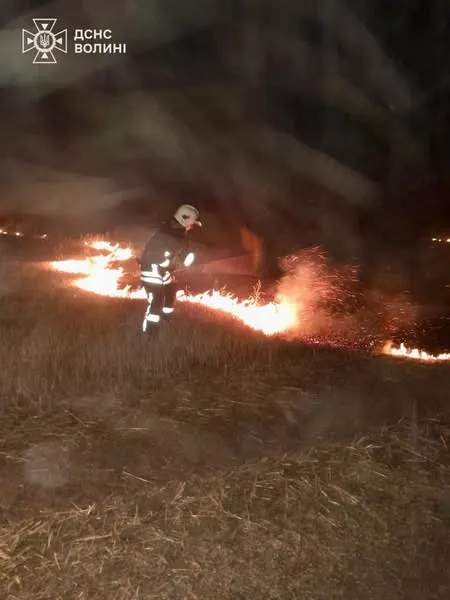 На Ковельщині через пожежу трави згоріла господарська споруда (фото)