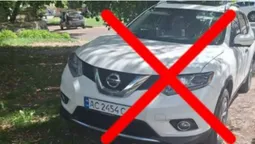 У Луцьку штрафували паркохамів за знищені газони (фото)