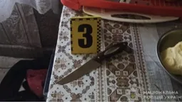 На Волині п'яна жінка штрикнула чоловіка ножем: потерпілий втратив два літри крові