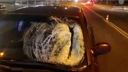 ДТП на проспекті Василя Мойсея: є жертви (фото)