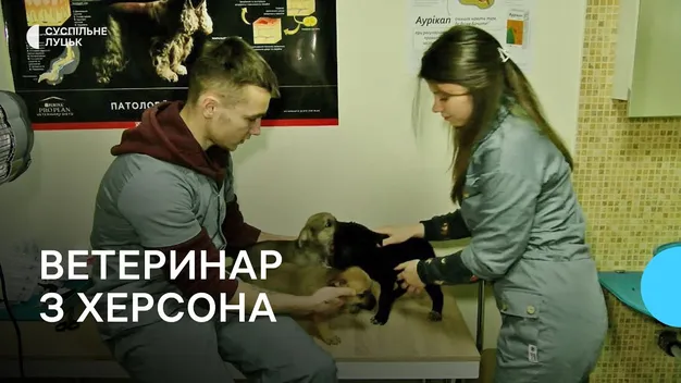 Взяв кредит та відкрив ветклініку: переселенець з Херсона лікує тварин у Луцьку (фото, відео)