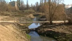 У Луцьку реконструювали небезпечний пішохідний міст. Відео