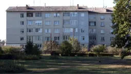 Як у громаді на Волині без газу опалюють село у холоди (фото)