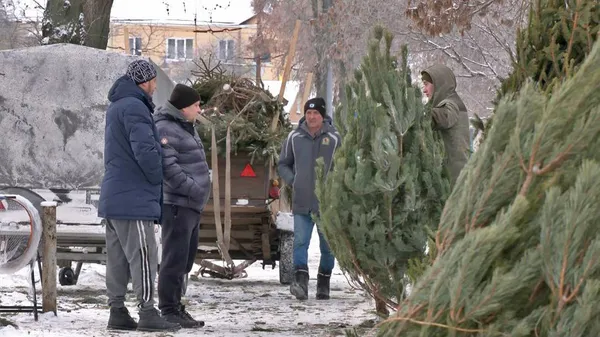 У Луцьку запрацювали ялинкові ринки: що продають та за які гроші (відео)