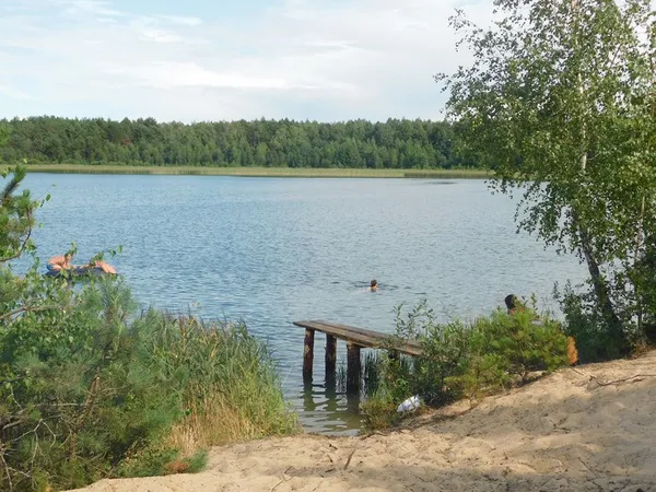 Морські пляжі посеред лісу: на Поліссі причаїлося глибоке озеро з цілющою водою (фото)
