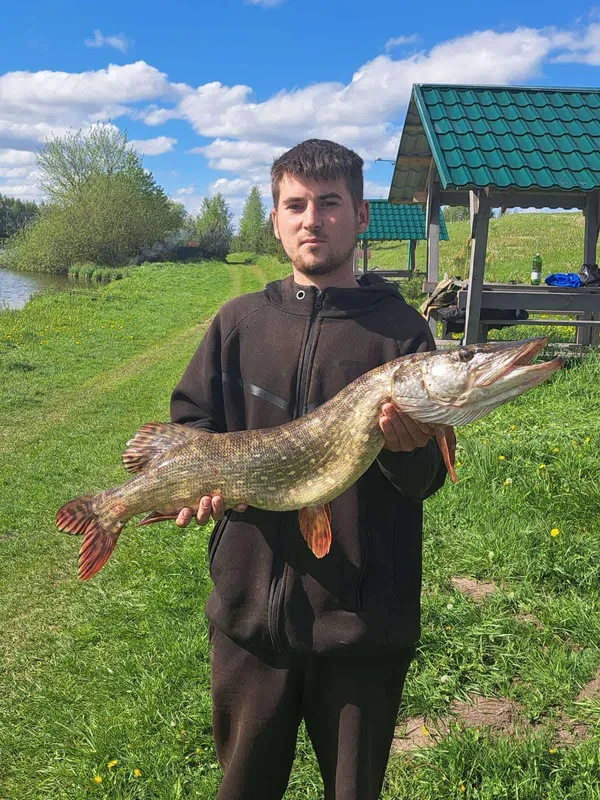 Рибалка на Рівненщині впіймав щуку-велетня (фото)