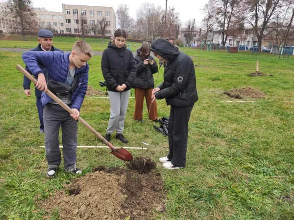 Парки, сквери, вулиці: у Луцькій громаді восени висадили 254 дерева та 285 кущів (фото)