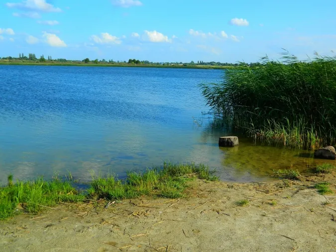 На Волині серед дикої природи ховається глибоке льодовикове озеро з бірюзово-молочною водою (відео)