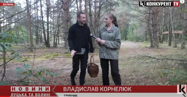 І білі, і маслюки: де на Волині є гриби і як їх правильно збирати (фото, відео)