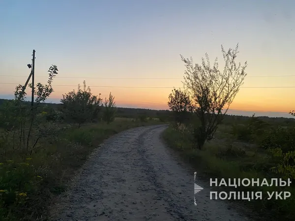 Дві восьмикласниці у Ковелі в'їхали в дерево на квадроциклі (фото)
