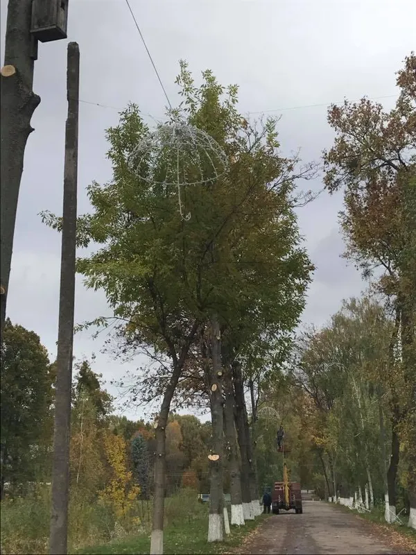 У Луцьку продовжать «Алею парасольок» (фото)