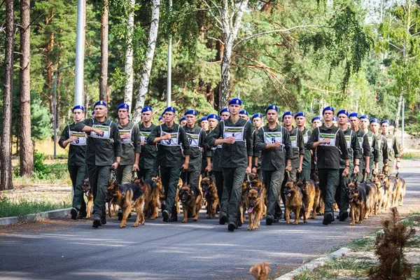 Гвардієць з Луцька і його пес візьмуть участь у параді в Києві (фото)