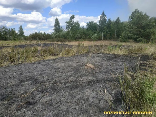 В Озерці – пожежа: зайнявся понад гектар лісу (фото)