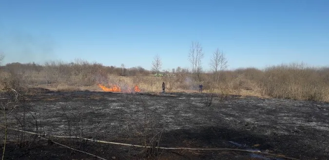 Безвідповідальність людей вражає: на Волині горіло понад два гектари сухої трави (фото)