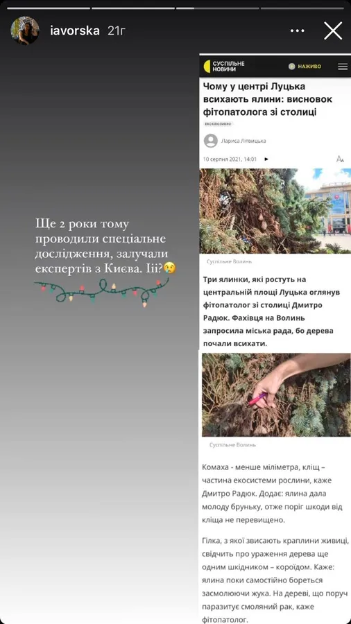 У центрі Луцька всихає тріо різдвяних ялинок (фото)