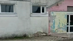 «Атмосфера, яку не забути»: у селі на Волині щовихідних організовують гучні дискотеки (відео)