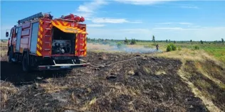 Вогонь охопив півтора гектара: на Волині горіли суха трава, чагарники та торф’яник (фото)