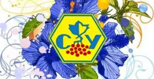 На Волині відзначать 100-річчя із дня створення Союзу українок