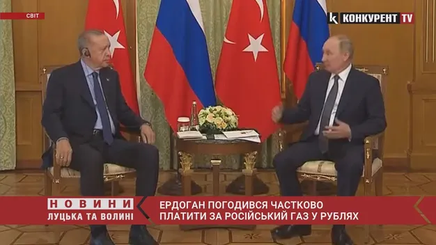 Президент Туреччини погодився платити за російський газ в рублях (відео)