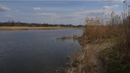 Чисте озеро, в якому бояться купатися: за 265 км від Луцька – містична водойма (фото, відео)