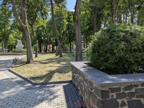 У Ковелі боротимуться із небезпечними комахами: скільки на це виділили коштів (фото)