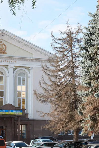У центрі Луцька позрізають аварійні ялини та каштани (фото, відео)