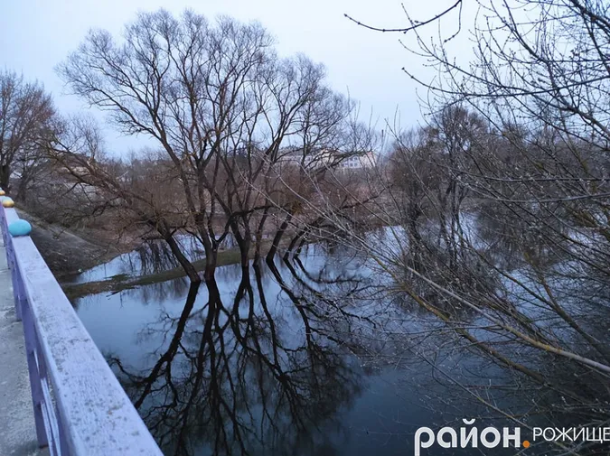 У Рожищі Стир вийшов із берегів: вона сягає стовбурів найближчих дерев (фото)
