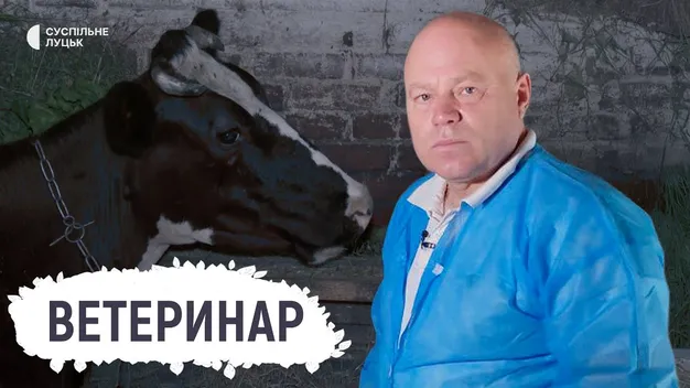 «Ветеринар – і хірург, і психолог, і гінеколог»: лікар з Волині розповів про свою роботу (відео)