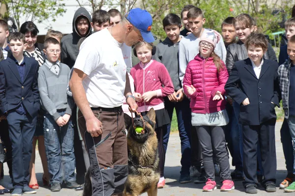 Лікування псами: у Луцьку відбулося заняття для діток (фото)