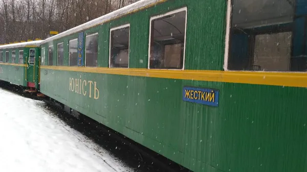 Дитяча залізниця  у Луцьку стане комунальною власністю міста