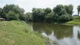 "Тонуть діти, а батьки п’ють пиво": історії з  центрального пляжу Луцька
