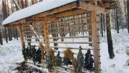На Волині облаштували пів тисячі підгодівельних комплексів для тварин (фото)