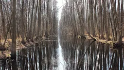 Волинське село заблокувало водний канал до Білорусі, щоб було де мити бурштин? (відео)