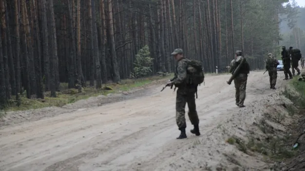Постріли та вибухи у волинському лісі (фото, відео)