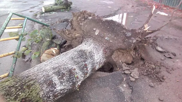 Що наробила негода в Луцьку (фото, відео)