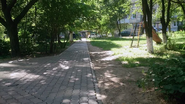 Вулиці Луцька облаштували пішохідними доріжками (фото)