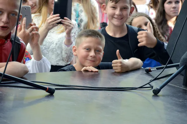 Співи, жим та стріт-фуд: як лучани святкують День Незалежності (фото)